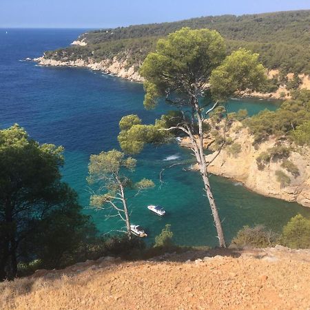 Sanary Sur Mer Appartement 30M2 T2 Avec Terrasse Piscine 10Min A Pied De La Plage Exterior foto